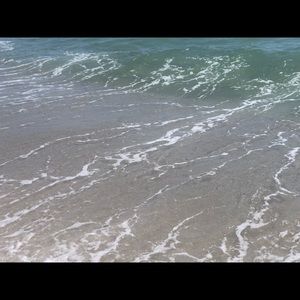 Meet your Posher, Riley